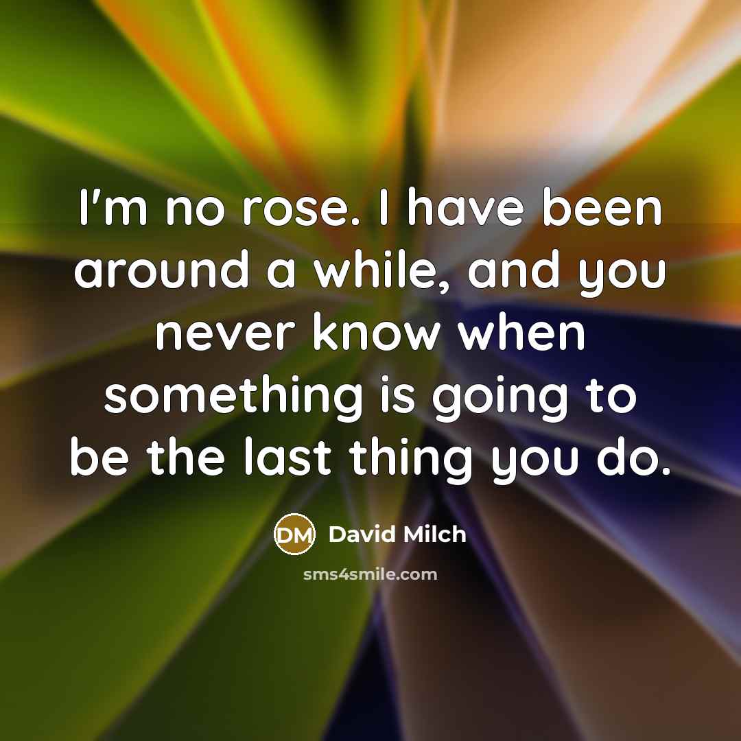 “I'm no rose. I have been around a while, and…” quote by David Milch