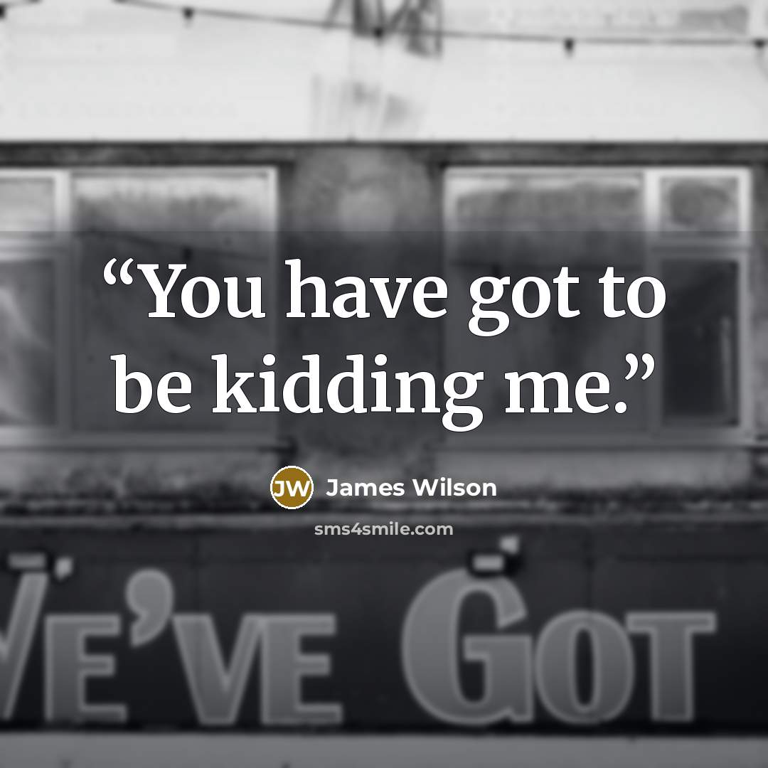 “You have got to be kidding me.” quote by James Wilson