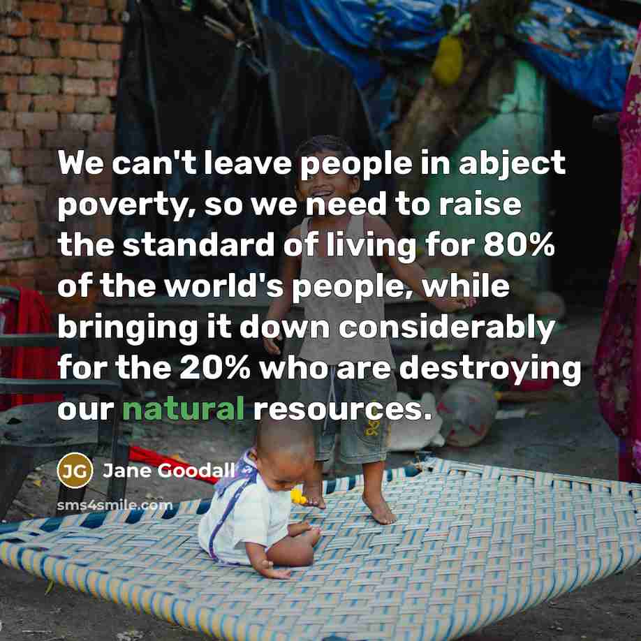 “We can't leave people in abject poverty, so we need…” quote by Jane Goodall