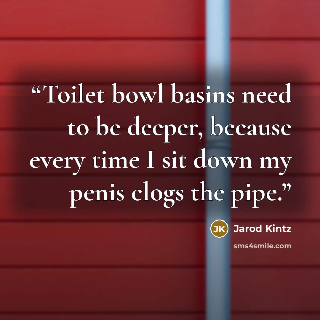 “Toilet bowl basins need to be deeper, because every time I sit down my penis clogs the pipe.” quote by Jarod Kintz