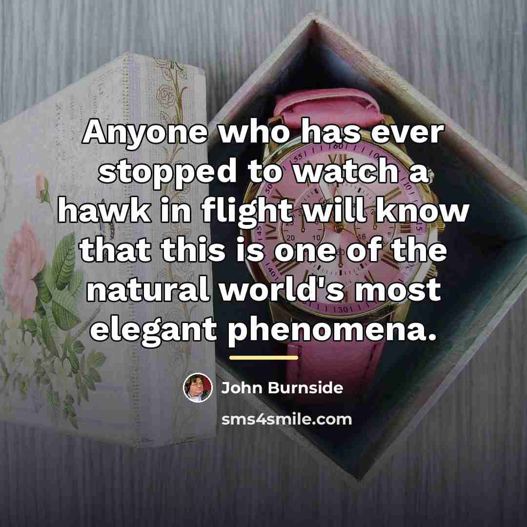 “Anyone who has ever stopped to watch a hawk in…” quote by John Burnside