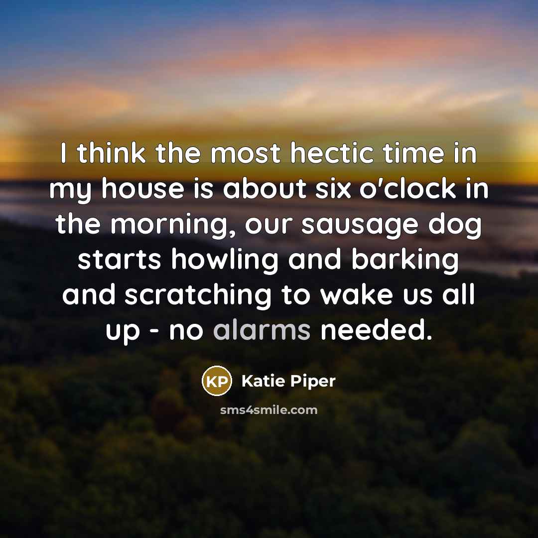 “I think the most hectic time in my house is about six o'clock in the morning, our sausage dog starts howling and barking and scratching to wake us all up - no alarms needed.” quote by Katie Piper