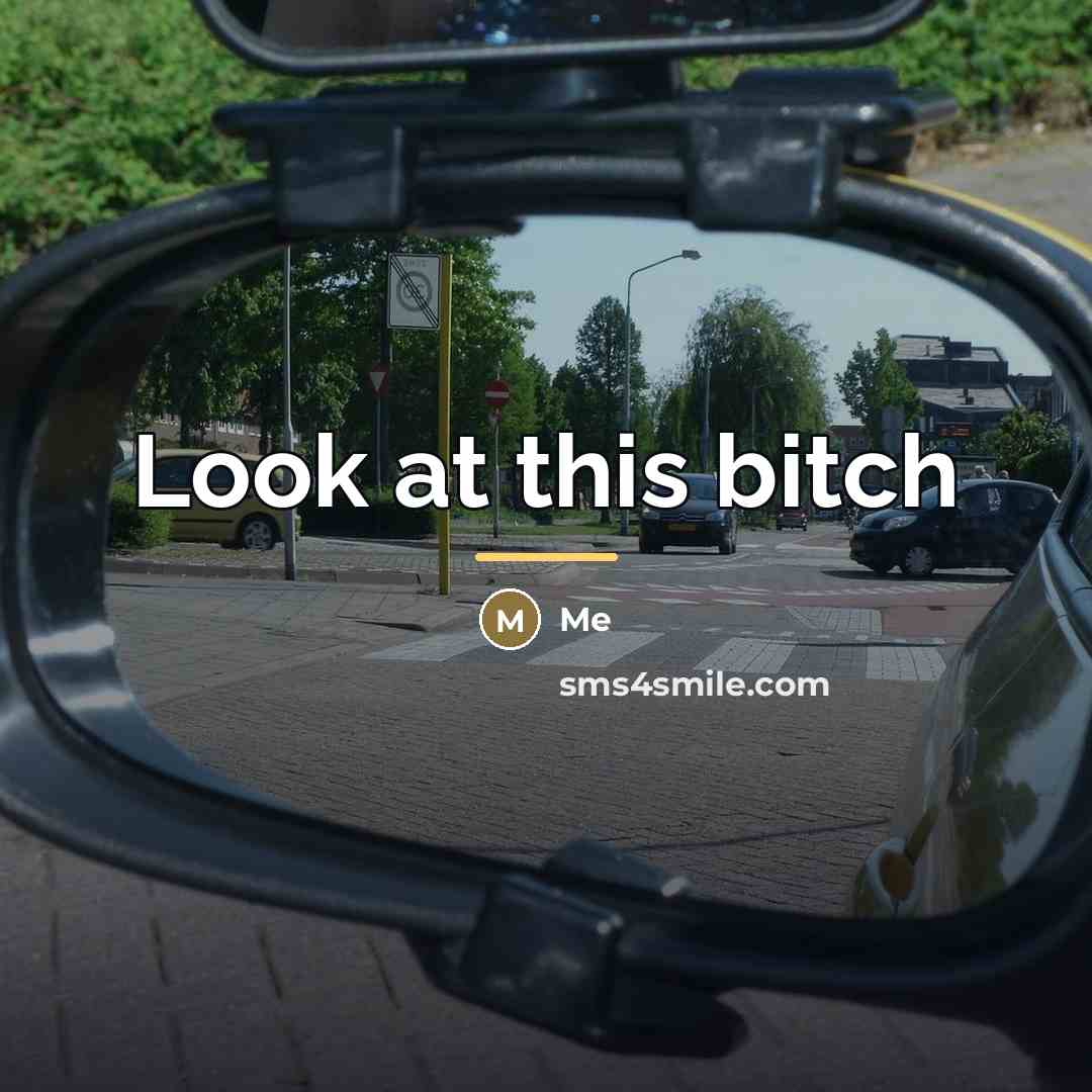 “Look at this bitch…” quote by Me