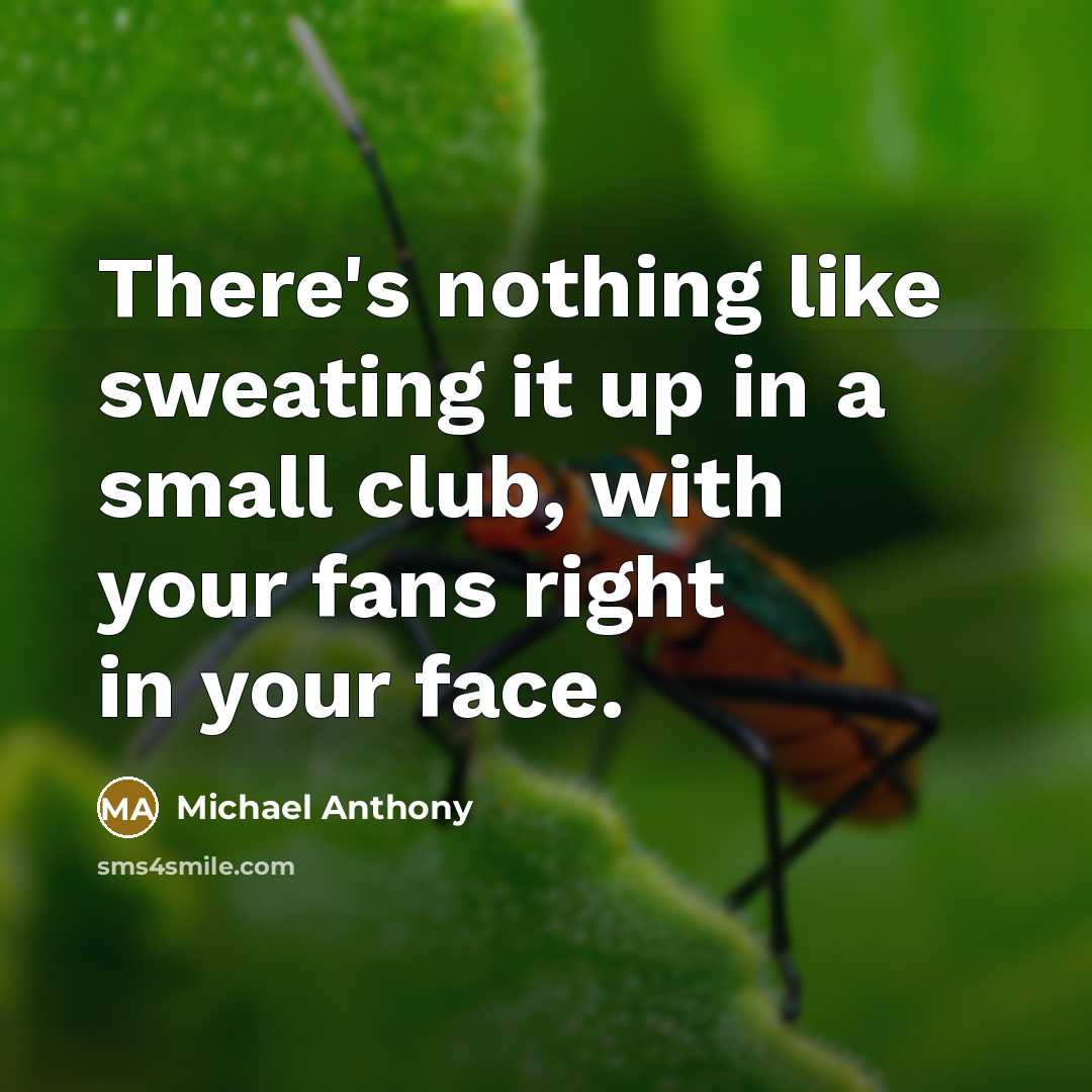 “There's nothing like sweating it up in a small club,…” quote by Michael Anthony