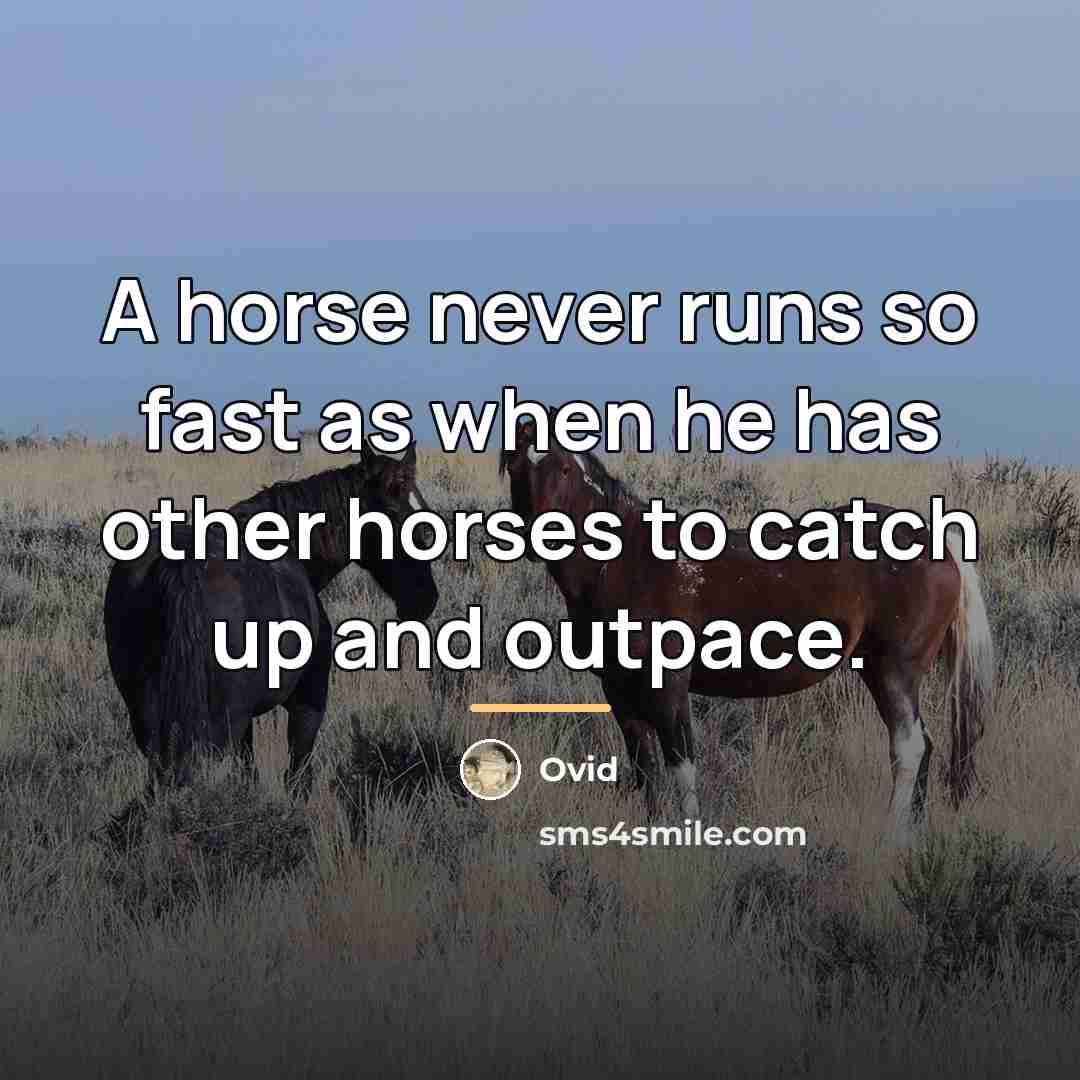 “A horse never runs so fast as when he has…” quote by Ovid