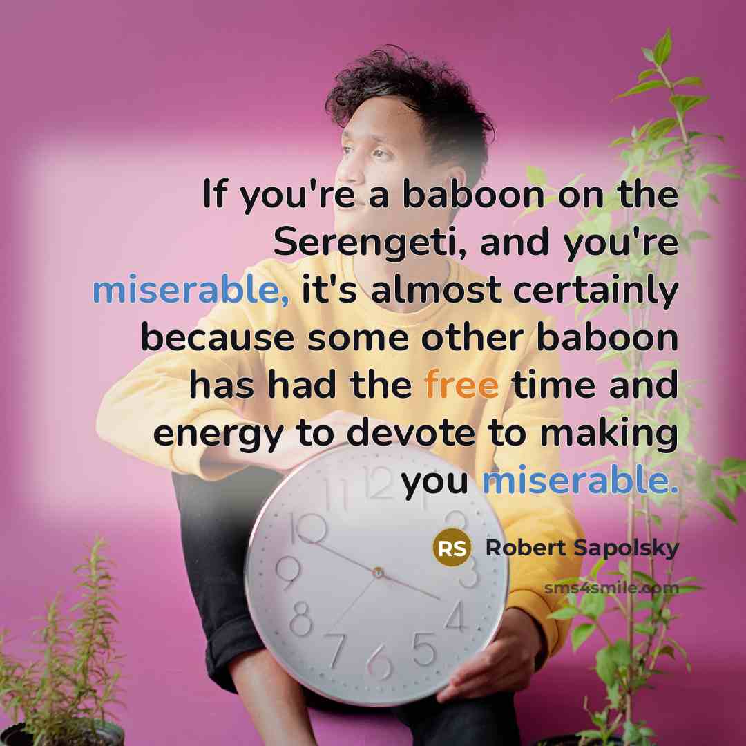 “If you're a baboon on the Serengeti, and you're miserable,…” quote by Robert Sapolsky