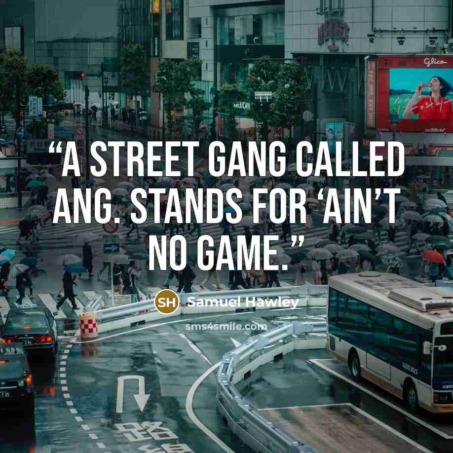 “a street gang called ANG. Stands for ‘Ain’t No Game.” quote by Samuel Hawley