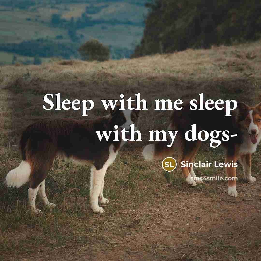 “Sleep with me sleep with my dogs-…” quote by Sinclair Lewis