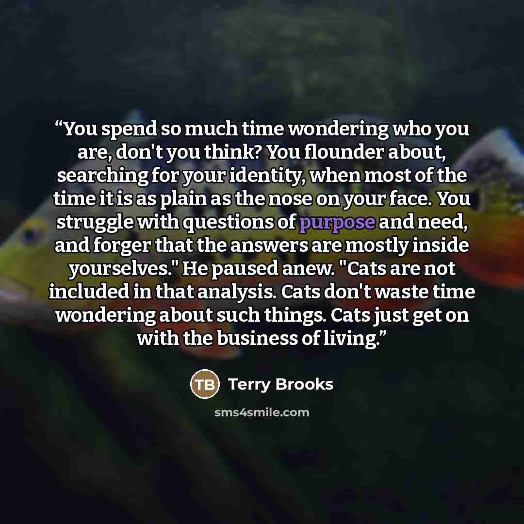 “You spend so much time wondering who you are, don't you think? You flounder about, searching for your identity, when most of the time it is as plain as the nose on your face. You struggle with questions of purpose and need, and forger that the answers are mostly inside yourselves." He paused anew…” quote by Terry Brooks