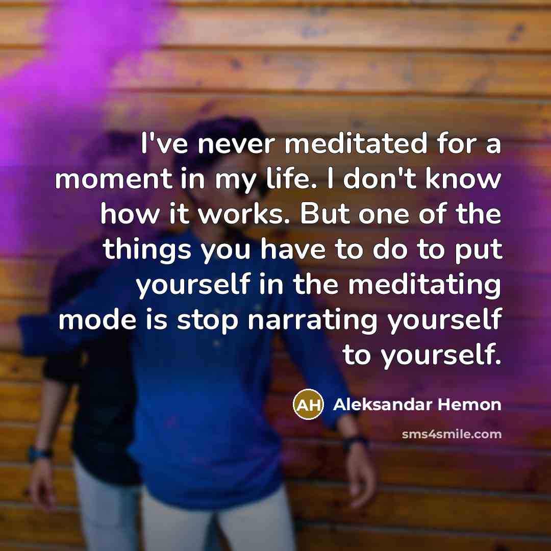 “I've never meditated for a moment in my life. I…” quote by Aleksandar Hemon