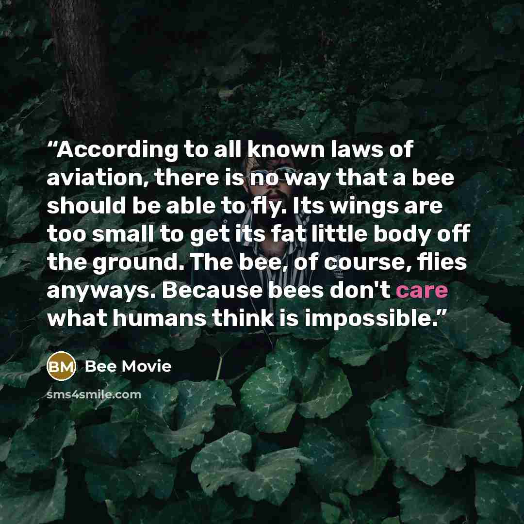 “According to all known laws of aviation, there is no way that a bee should be able to fly. Its wings are too small to get its fat little body off the ground. The bee, of course, flies anyways. Because bees don't care what humans think is impossible.” quote by Bee Movie