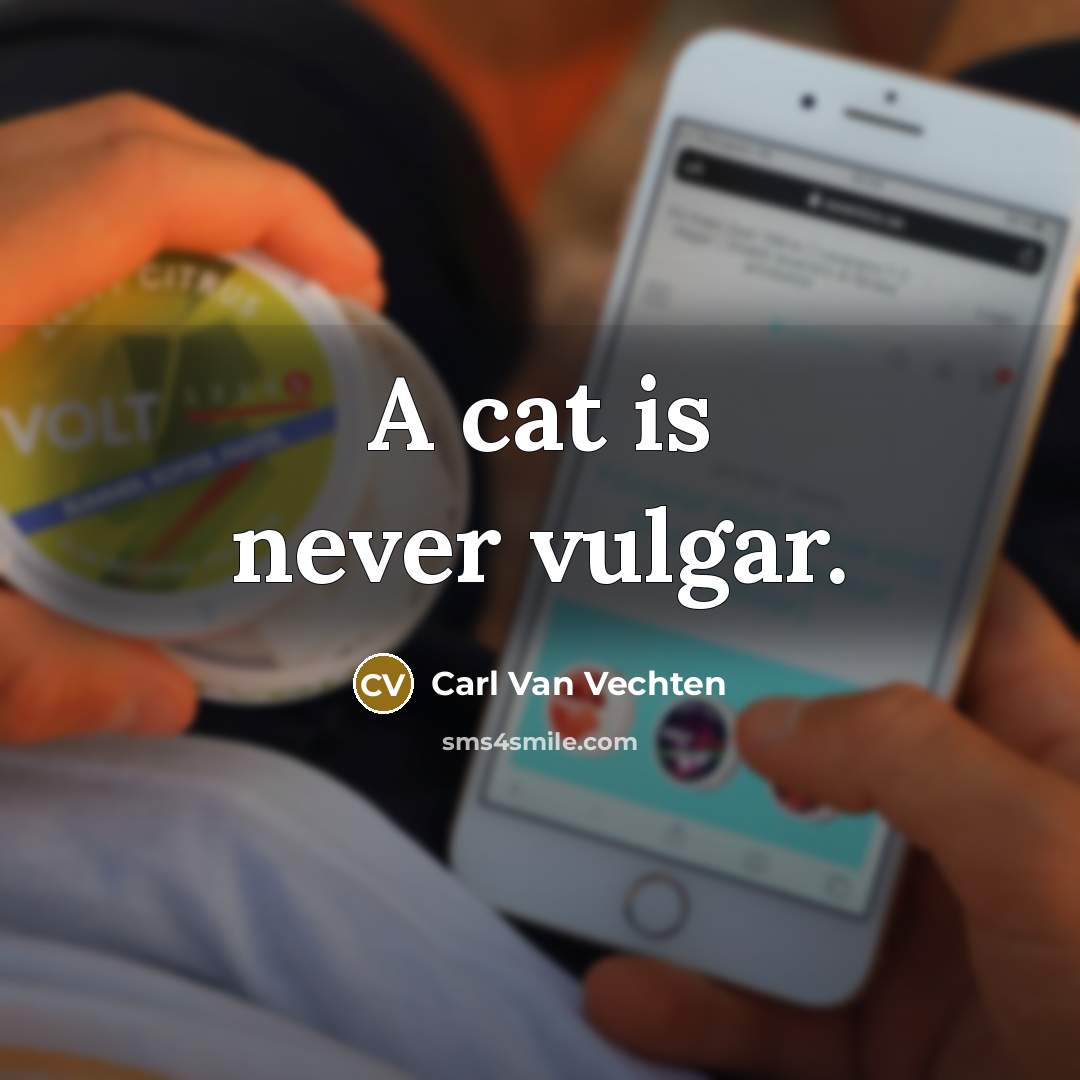 “A cat is never vulgar.…” quote by Carl Van Vechten