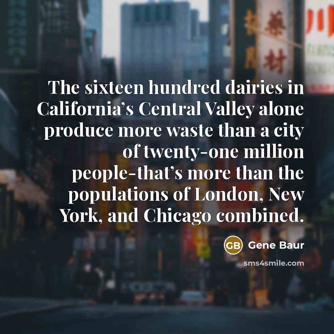 “The sixteen hundred dairies in California’s Central Valley alone produce…” quote by Gene Baur