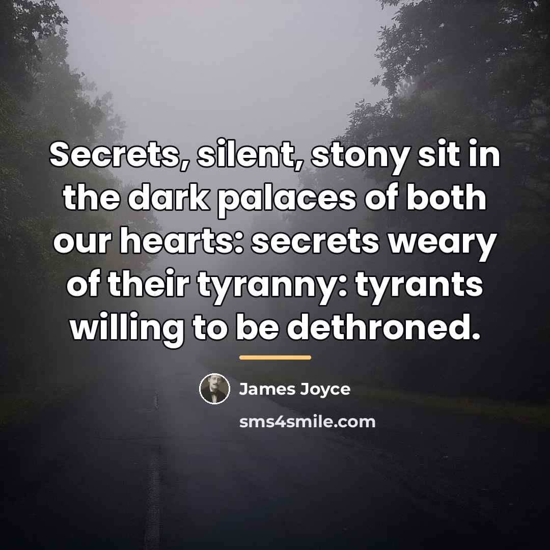 “Secrets, silent, stony sit in the dark palaces of both…” quote by James Joyce