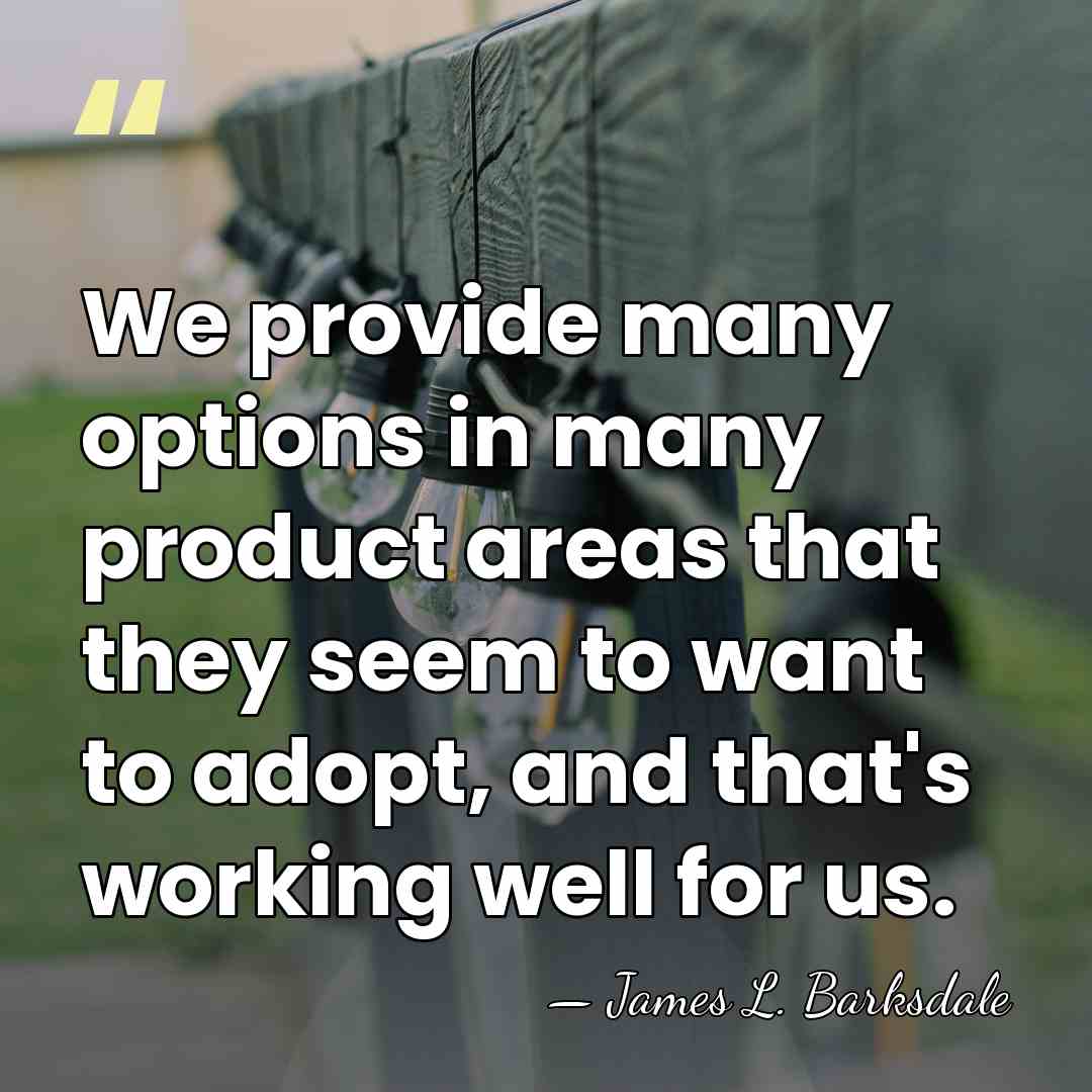 We provide many options in many product areas that they seem to&hellip; - James L. Barksdale