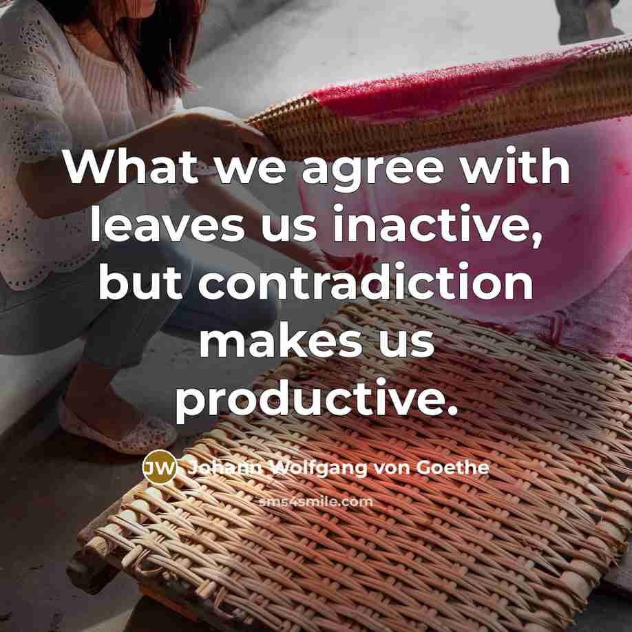 “What we agree with leaves us inactive, but contradiction makes…” quote by Johann Wolfgang von Goethe