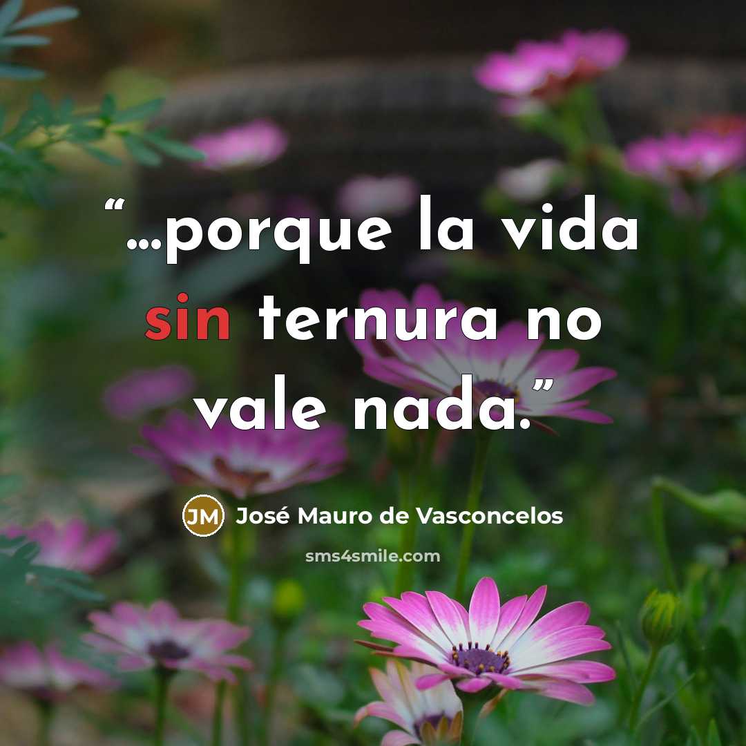 “...porque la vida sin ternura no vale nada.” quote by José Mauro de Vasconcelos
