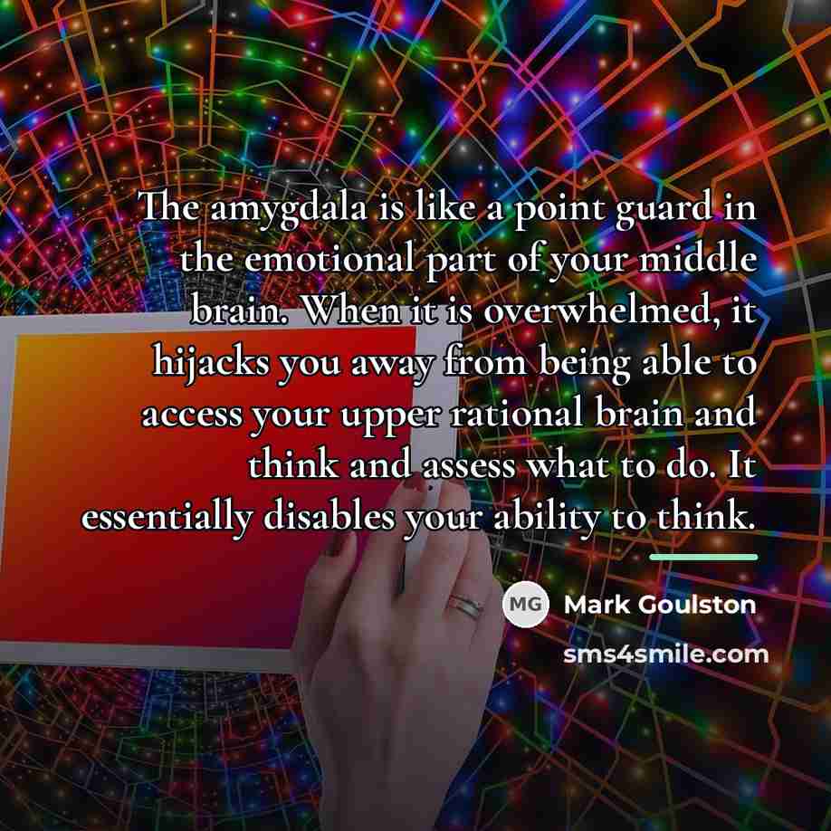 “The amygdala is like a point guard in the emotional…” quote by Mark Goulston