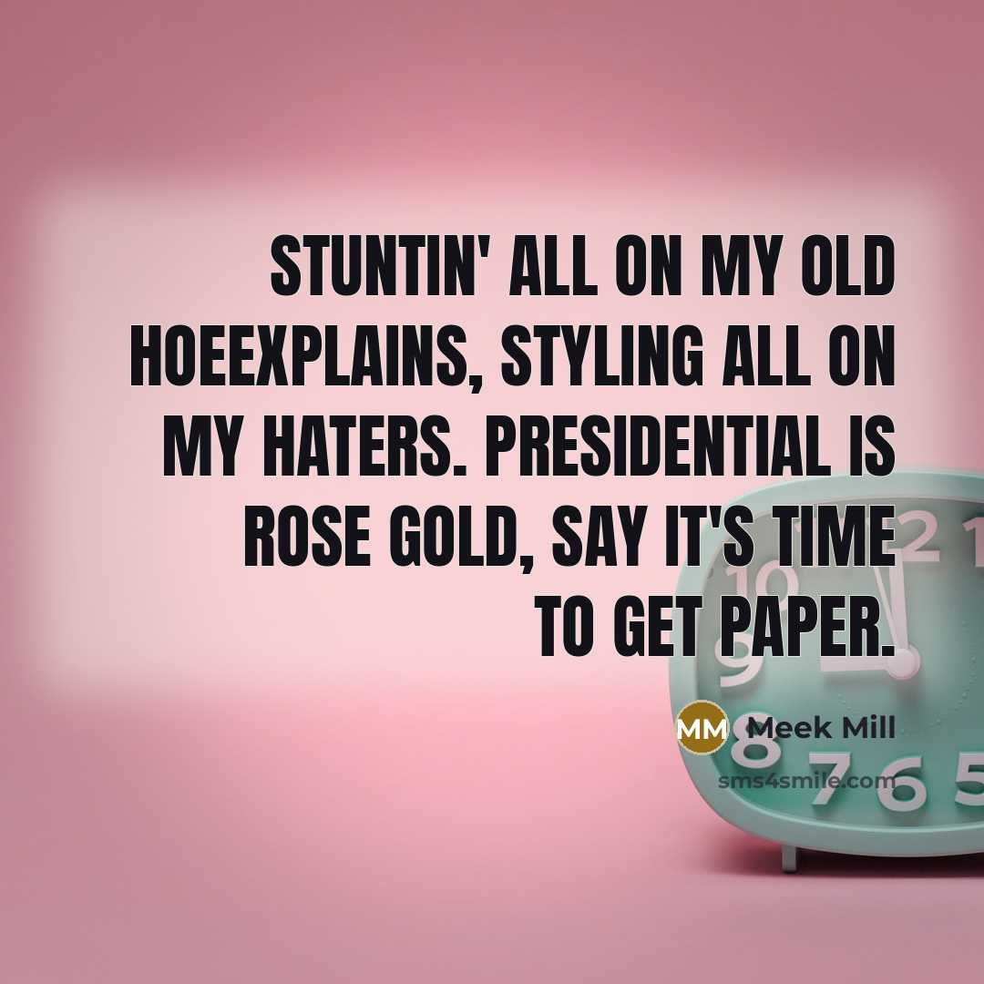 “Stuntin' all on my old hoeExplains, styling all on my…” quote by Meek Mill