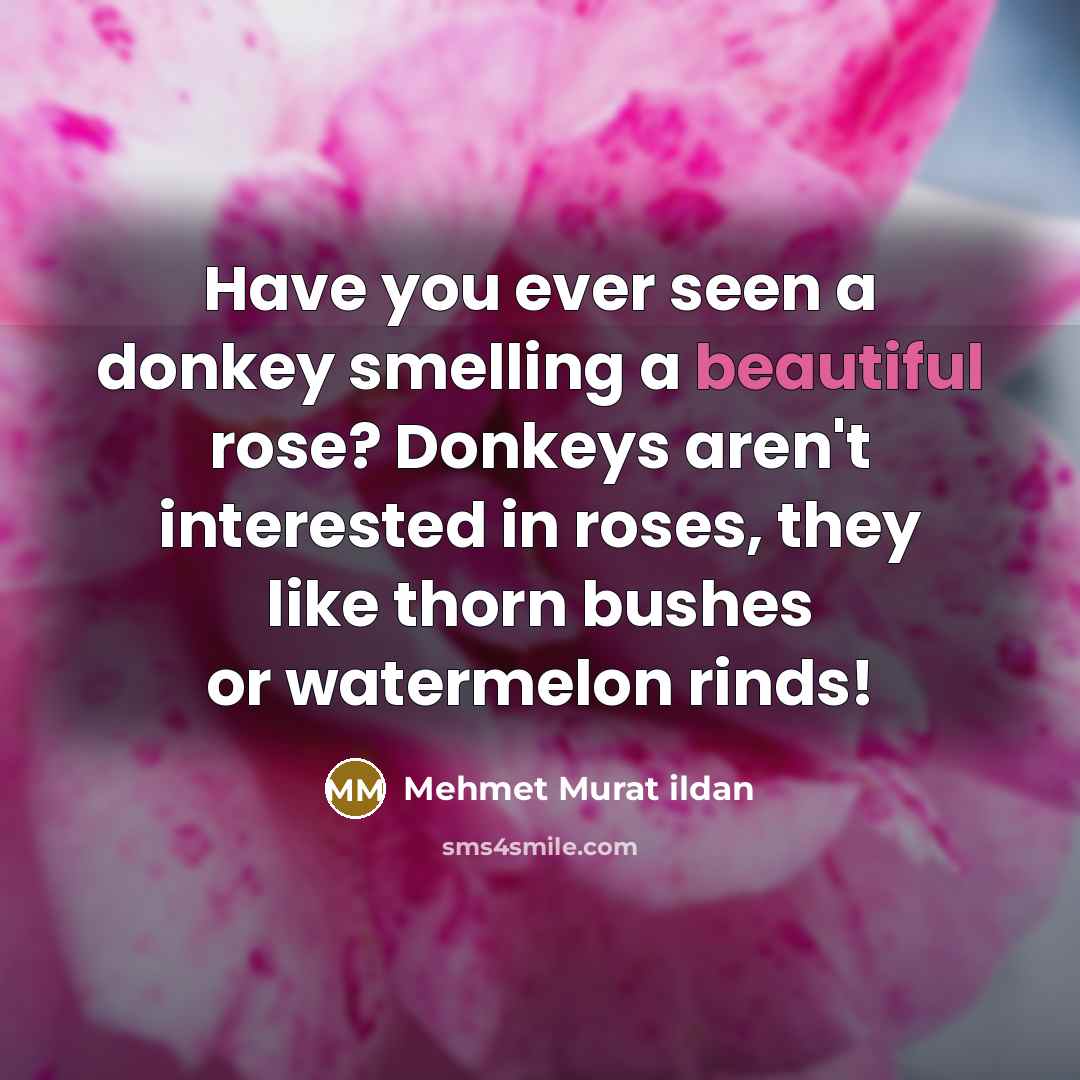 “Have you ever seen a donkey smelling a beautiful rose?…” quote by Mehmet Murat Ildan