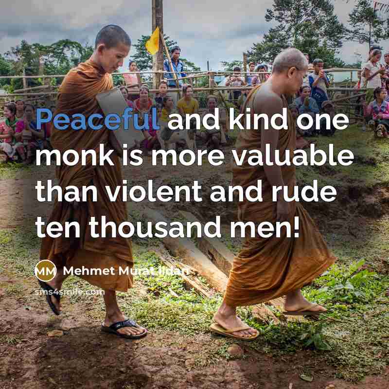 “Peaceful and kind one monk is more valuable than violent…” quote by Mehmet Murat Ildan