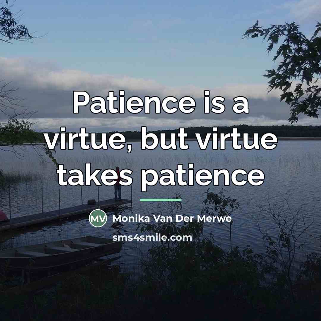 “Patience is a virtue, but virtue takes patience…” quote by Monika Van Der Merwe