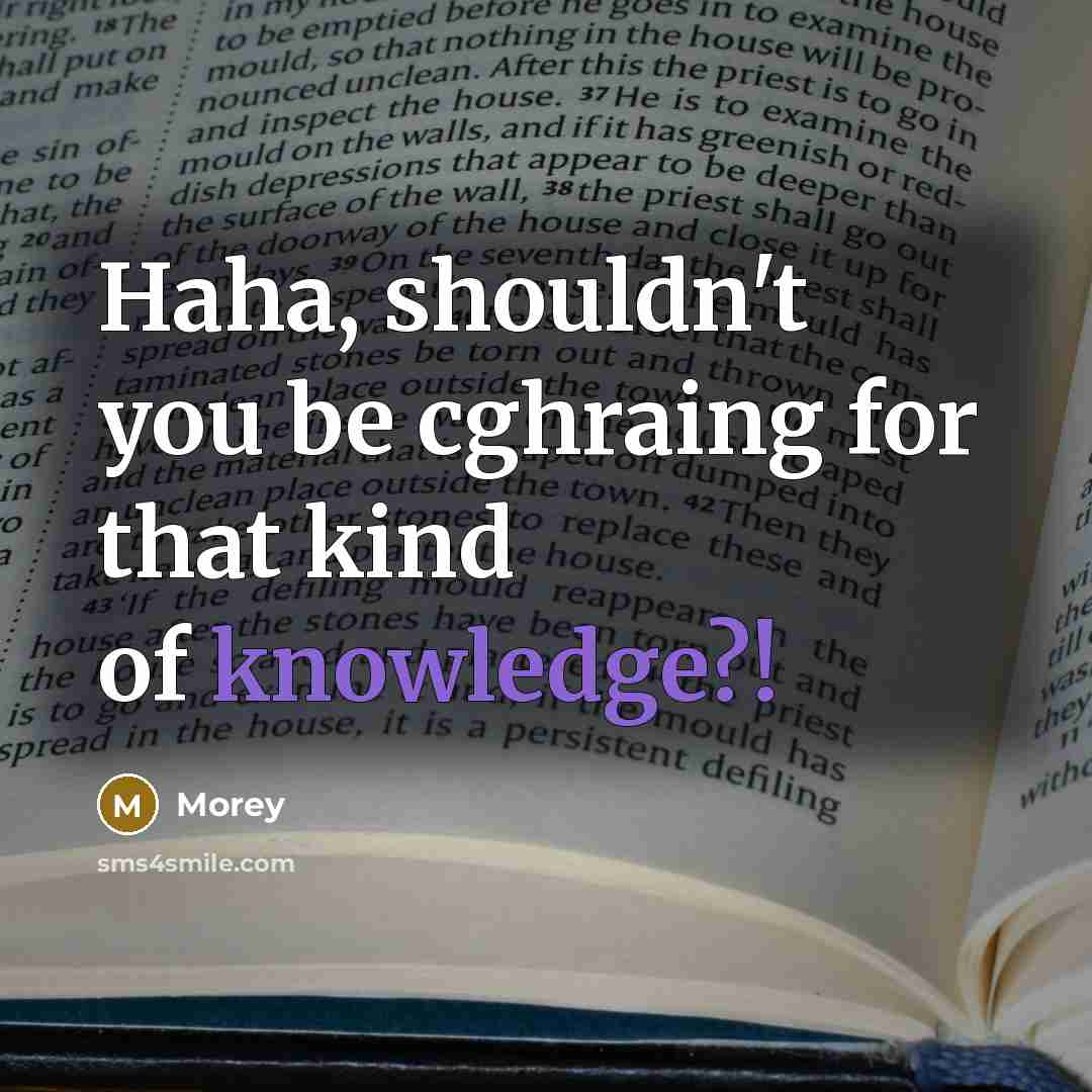 “Haha, shouldn't you be cghraing for that kind of knowledge?!” quote by Morey