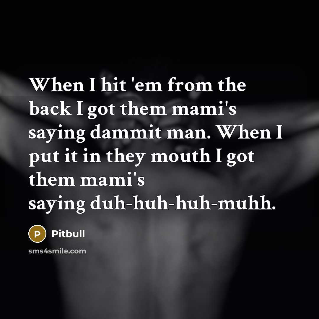 “When I hit 'em from the back I got them mami's saying dammit man. When I put it in they mouth I got them mami's saying duh-huh-huh-muhh.” quote by Pitbull