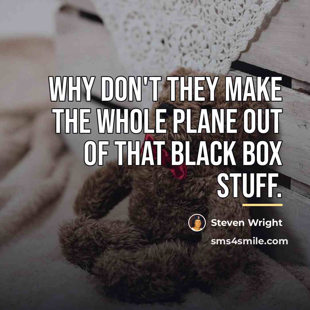 “Why don't they make the whole plane out of that…” quote by Steven Wright
