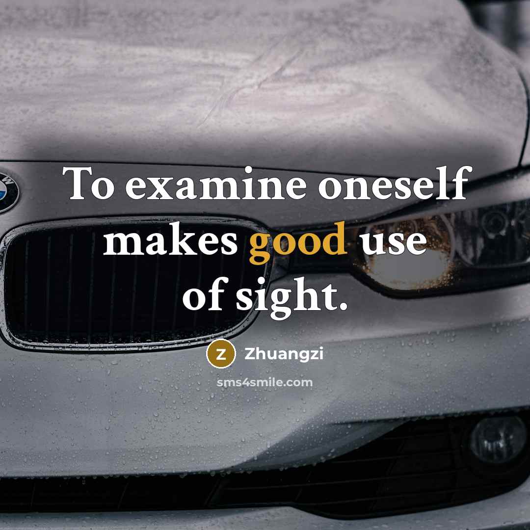 “To examine oneself makes good use of sight.…” quote by Zhuangzi