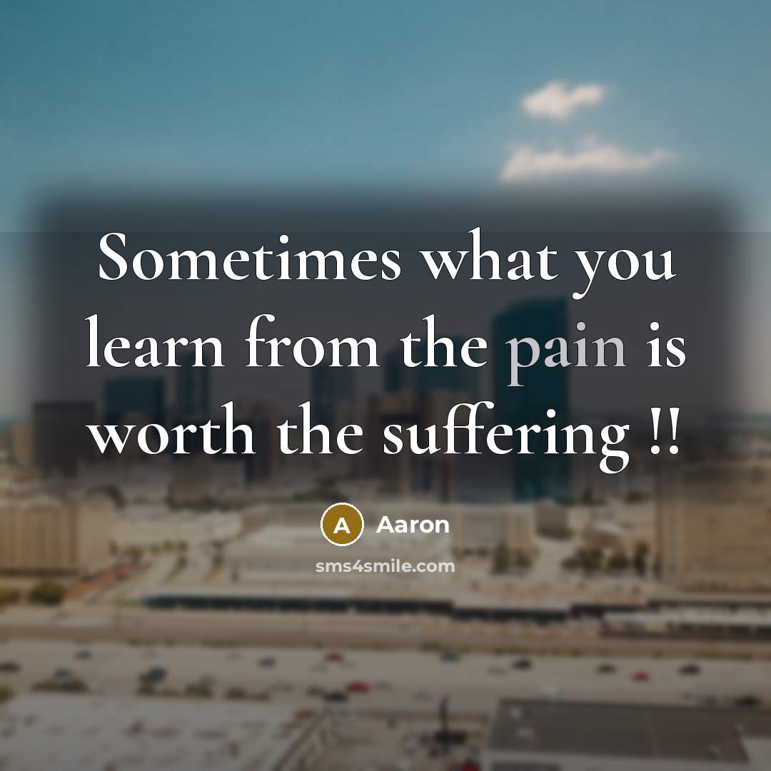 “Sometimes what you learn from the pain is worth the…” quote by AaRon