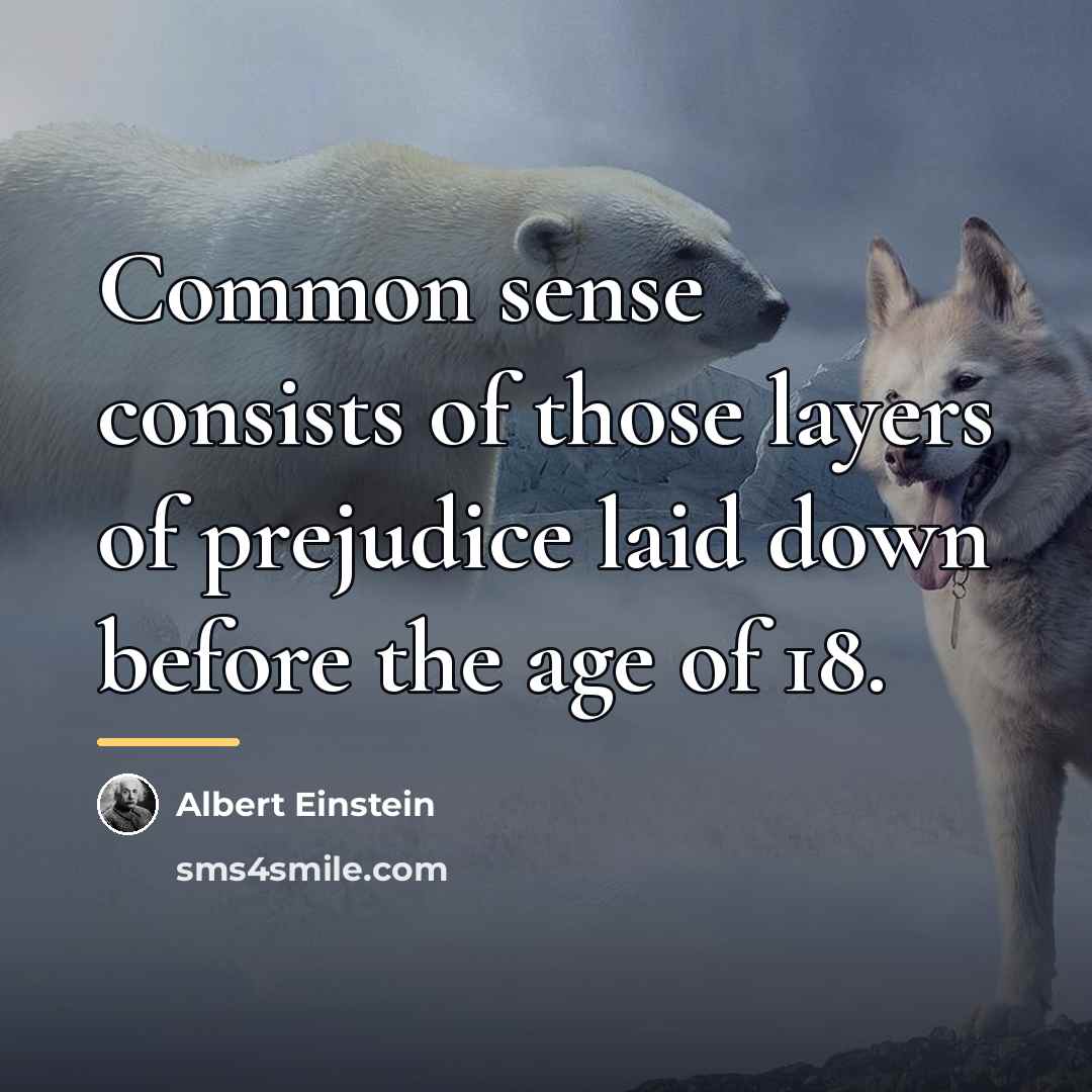 “Common sense consists of those layers of prejudice laid down…” quote by Albert Einstein