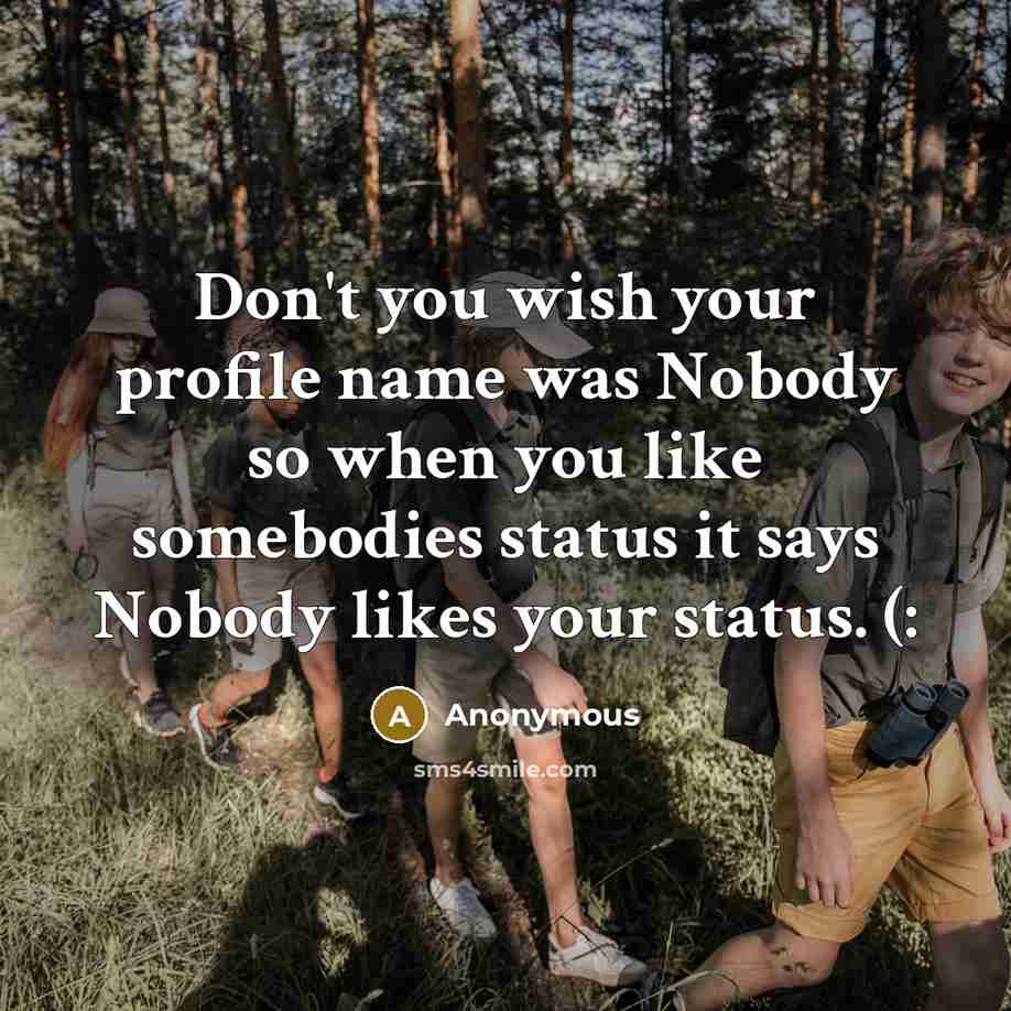 “Don't you wish your profile name was Nobody so when…” quote by Anonymous
