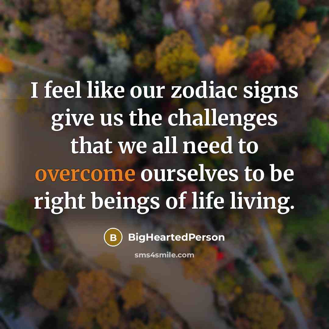 “I feel like our zodiac signs give us the challenges…” quote by BigHeartedPerson