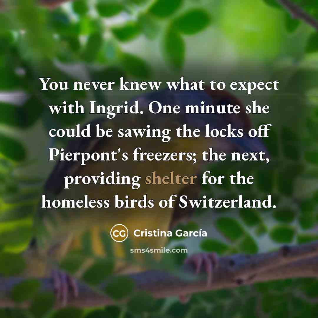 “You never knew what to expect with Ingrid. One minute…” quote by Cristina Garcia