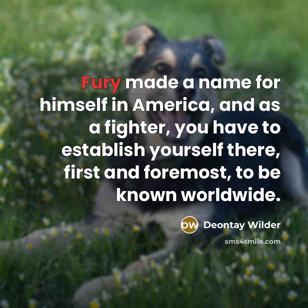 “Fury made a name for himself in America, and as…” quote by Deontay Wilder