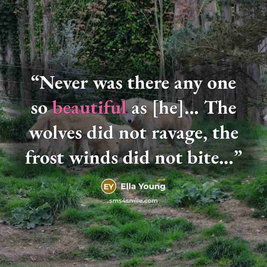 “Never was there any one so beautiful as [he]... The wolves did not ravage, the frost winds did not bite...” quote by Ella Young