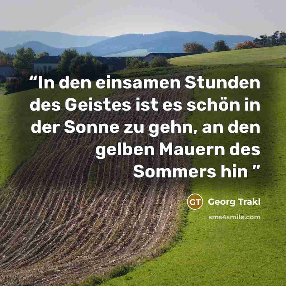 “In den einsamen Stunden des Geistes ist es schön in der Sonne zu gehn, an den gelben Mauern des Sommers hin” quote by Georg Trakl
