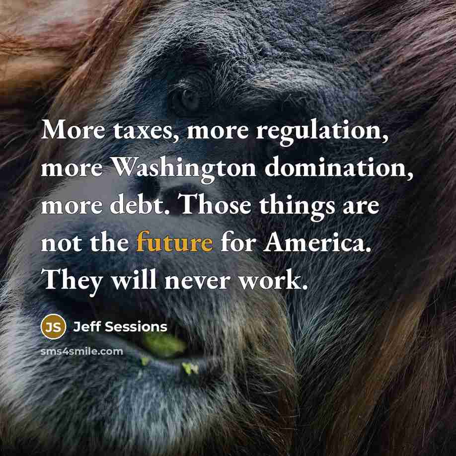 “More taxes, more regulation, more Washington domination, more debt. Those…” quote by Jeff Sessions