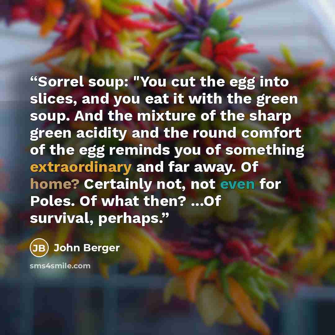 “Sorrel soup: "You cut the egg into slices, and you eat it with the green soup. And the mixture of the sharp green acidity and the round comfort of the egg reminds you of something extraordinary and far away. Of home? Certainly not, not even for Poles. Of what then? ...Of survival, perhaps.” quote by John Berger