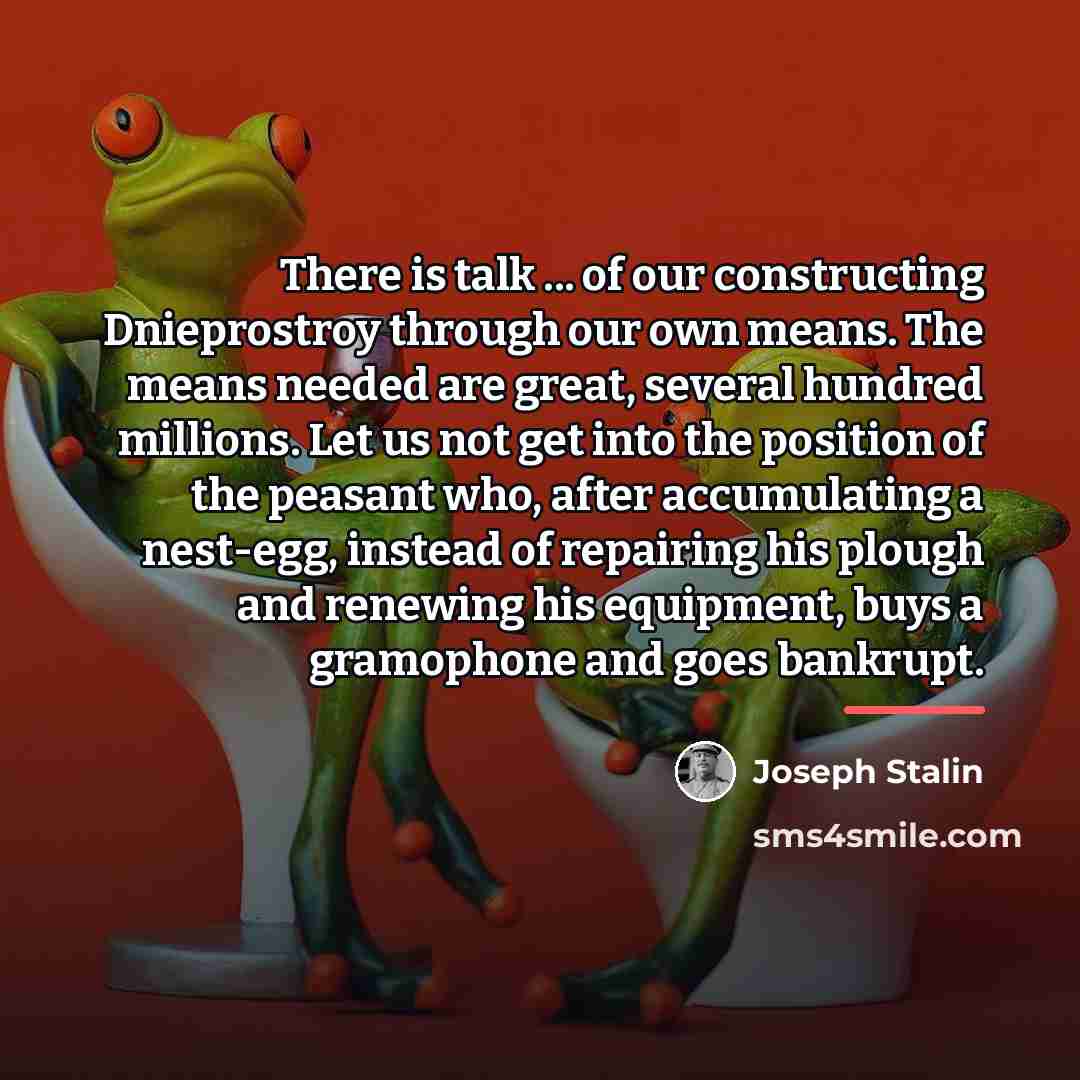 “There is talk ... of our constructing Dnieprostroy through our…” quote by Joseph Stalin