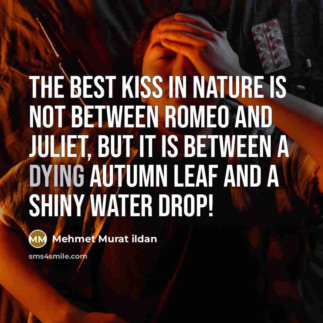 “The best kiss in nature is not between Romeo and…” quote by Mehmet Murat Ildan