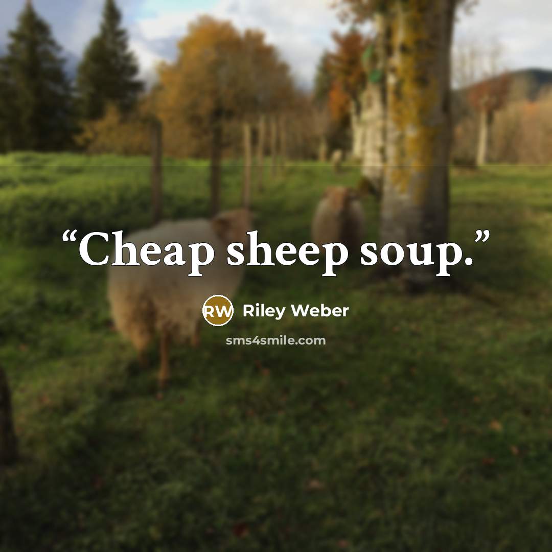 “Cheap sheep soup.” quote by Riley Weber