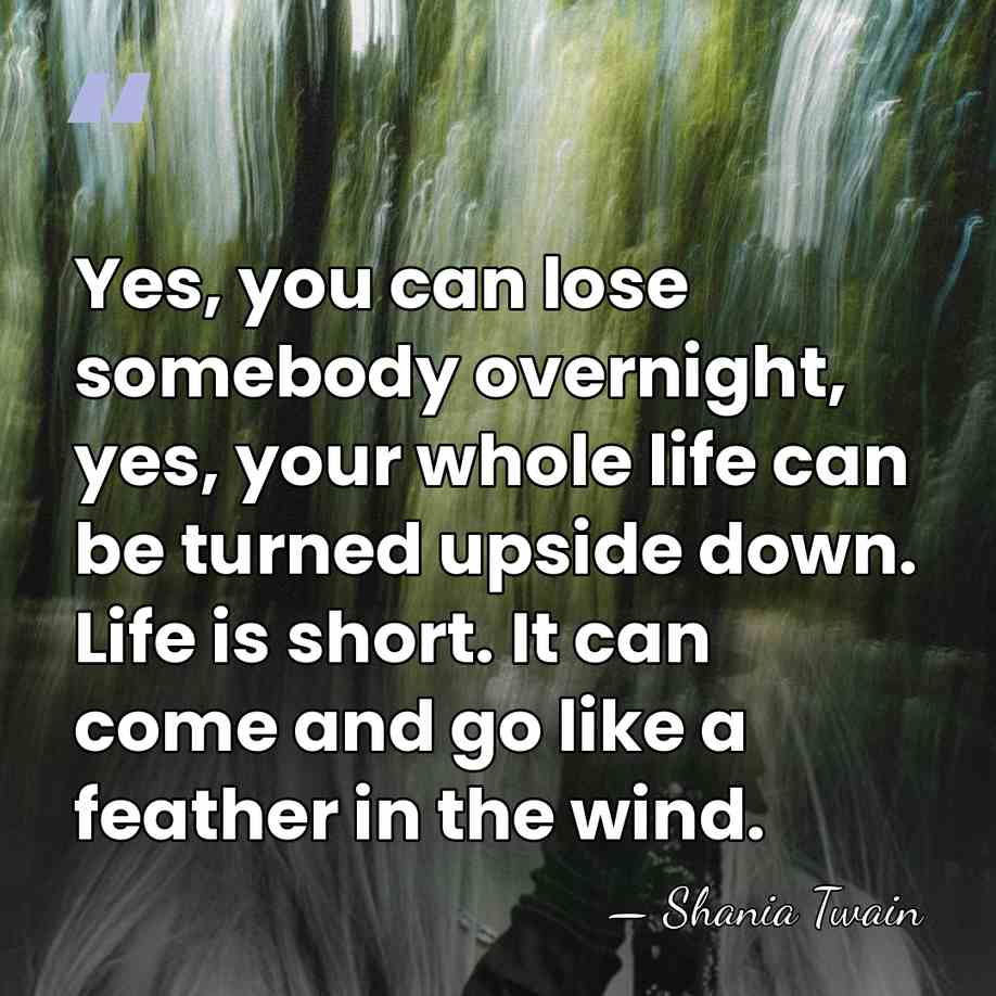 Yes, you can lose somebody overnight, yes, your whole life can be&hellip; - Shania Twain