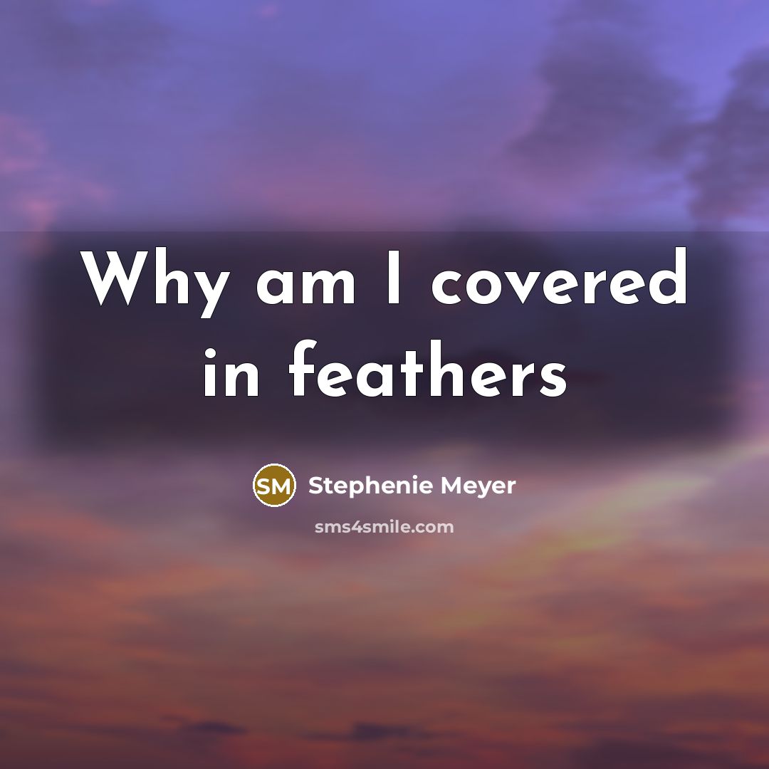 “Why am I covered in feathers…” quote by Stephenie Meyer