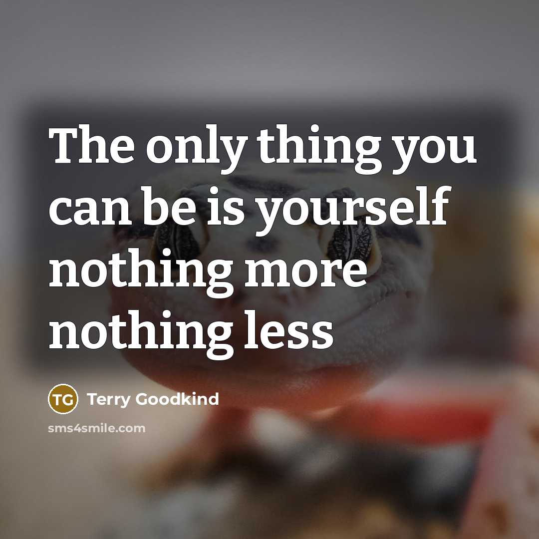 “The only thing you can be is yourself nothing more…” quote by Terry Goodkind