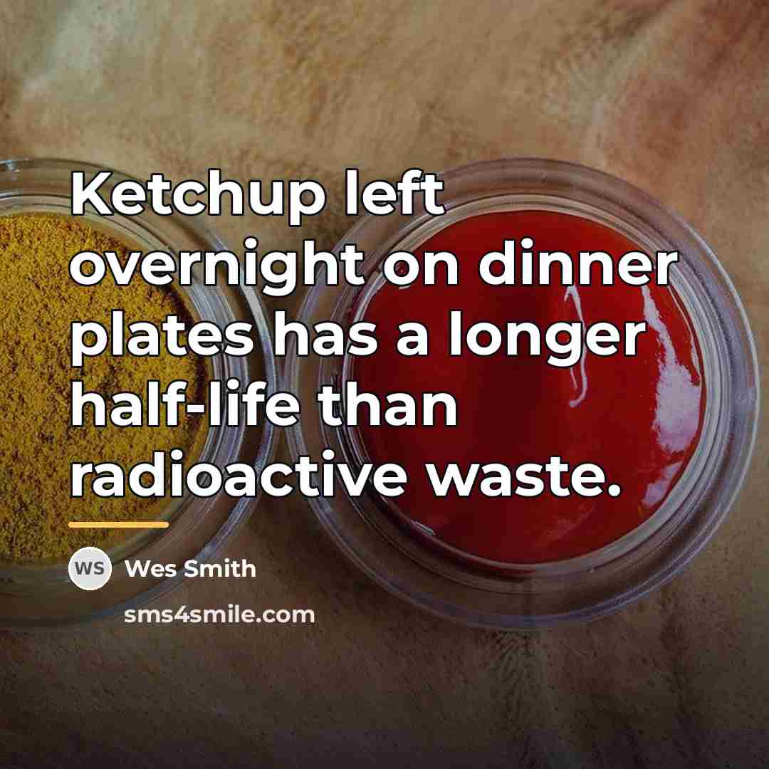 “Ketchup left overnight on dinner plates has a longer half-life…” quote by Wes Smith