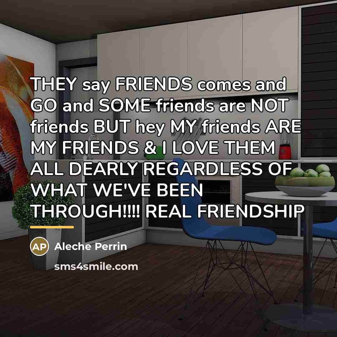 “THEY say FRIENDS comes and GO and SOME friends are…” quote by Aleche Perrin