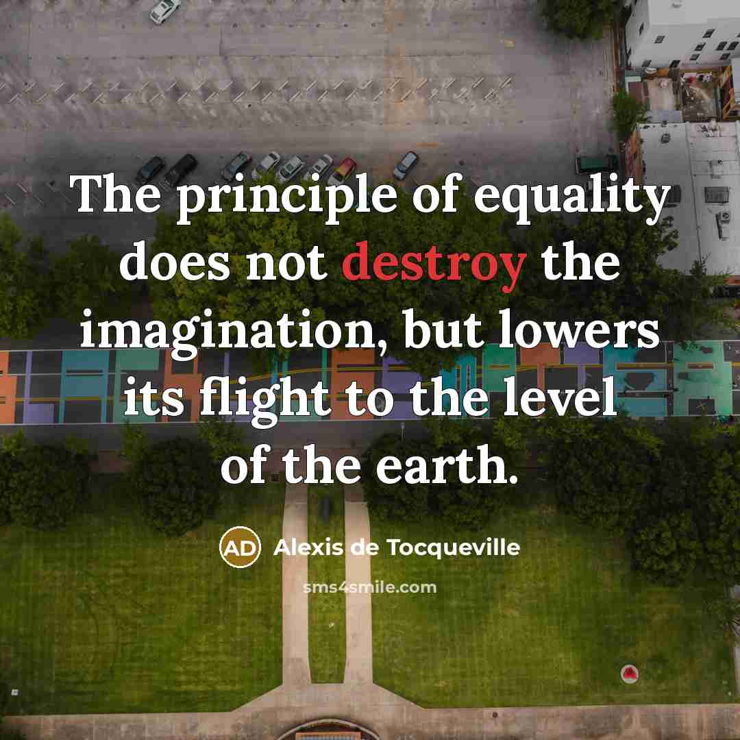 “The principle of equality does not destroy the imagination, but…” quote by Alexis de Tocqueville