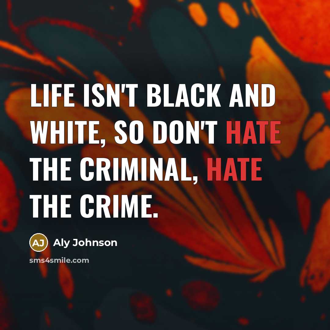 “Life isn't black and white, so don't hate the criminal,…” quote by Aly Johnson